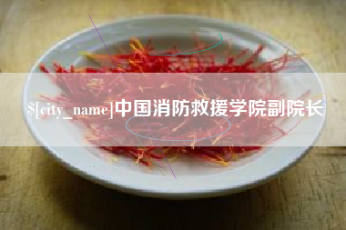 张家界中国消防救援学院副院长