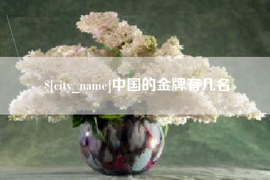 张家界中国的金牌有几名