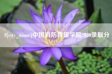 张家界中国消防救援学院2020录取分