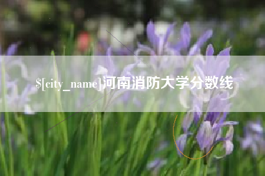 张家界河南消防大学分数线