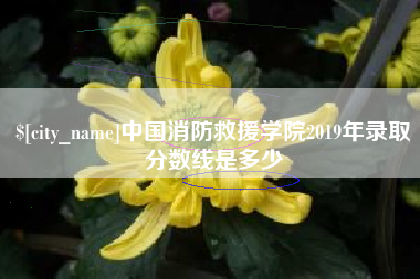 张家界中国消防救援学院2019年录取分数线是多少