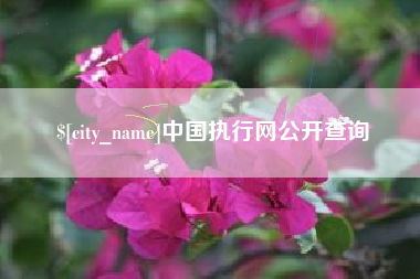 张家界中国执行网公开查询