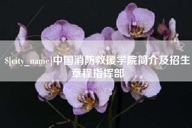 张家界中国消防救援学院简介及招生章程指挥部
