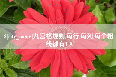 张家界九宫格规则,每行,每列,每个粗线都有1-9