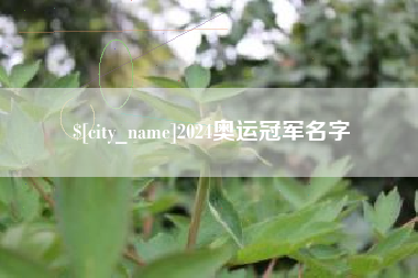 张家界2024奥运冠军名字
