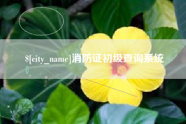 张家界消防证初级查询系统