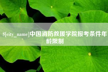 张家界中国消防救援学院报考条件年龄限制