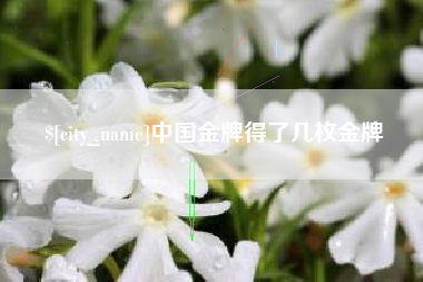张家界中国金牌得了几枚金牌