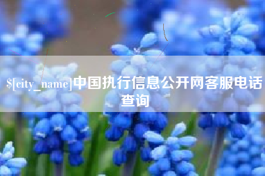 张家界中国执行信息公开网客服电话查询