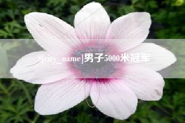 张家界男子5000米冠军