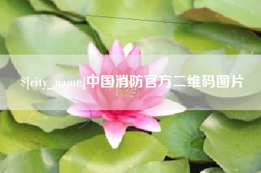 张家界中国消防官方二维码图片