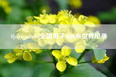 张家界全国男子5000米世界纪录