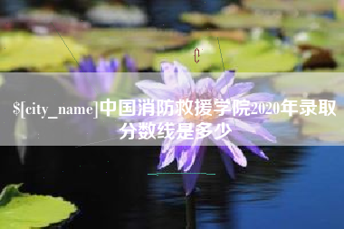 张家界中国消防救援学院2020年录取分数线是多少