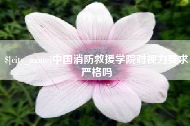 张家界中国消防救援学院对视力要求严格吗
