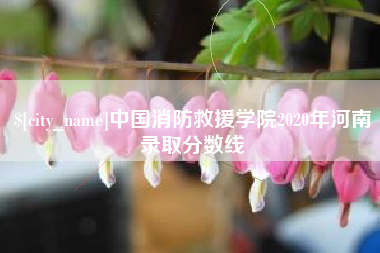 张家界中国消防救援学院2020年河南录取分数线