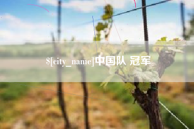 张家界中国队 冠军