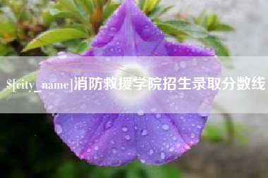 张家界消防救援学院招生录取分数线