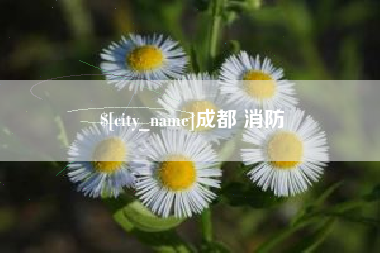 张家界成都 消防