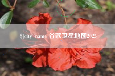 张家界谷歌卫星地图2025