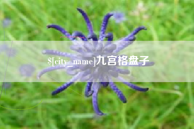 张家界九宫格盘子