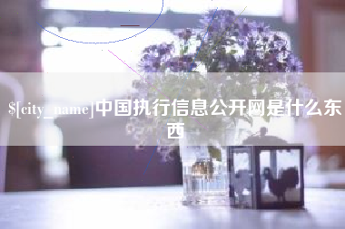 张家界中国执行信息公开网是什么东西
