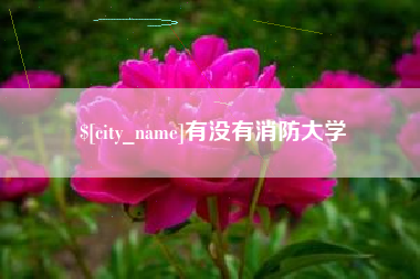 张家界有没有消防大学