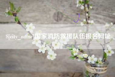 张家界国家消防救援队伍报名网址