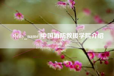 张家界中国消防救援学院介绍