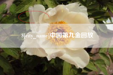 张家界中国第九金回放