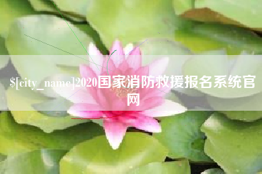 张家界2020国家消防救援报名系统官网