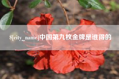 张家界中国第九枚金牌是谁得的