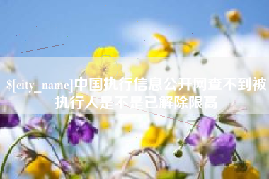 张家界中国执行信息公开网查不到被执行人是不是已解除限高