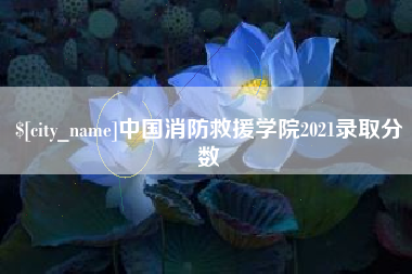 张家界中国消防救援学院2021录取分数