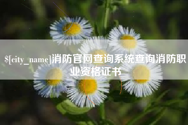 张家界消防官网查询系统查询消防职业资格证书