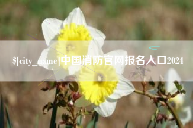 张家界中国消防官网报名入口2024