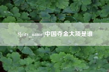 张家界中国夺金大项是谁