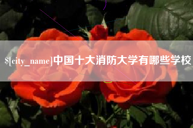 张家界中国十大消防大学有哪些学校
