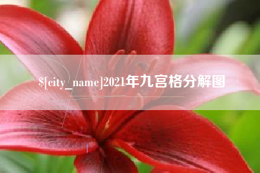 张家界2021年九宫格分解图