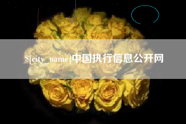 张家界中国执行信息公开网