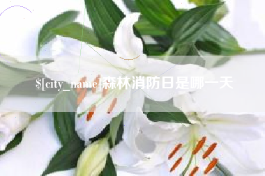 张家界森林消防日是哪一天