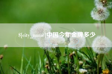 张家界中国今年金牌多少