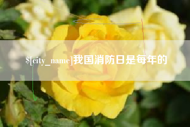 张家界我国消防日是每年的