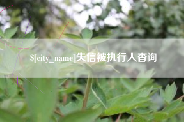 张家界失信被执行人杳询