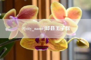 张家界邱县王子磊