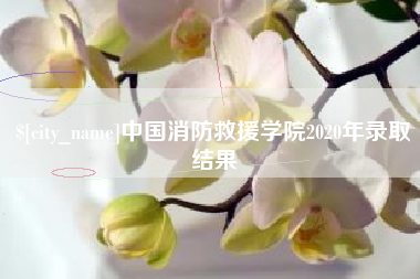 张家界中国消防救援学院2020年录取结果