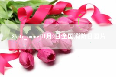 张家界11月9日全国消防日图片
