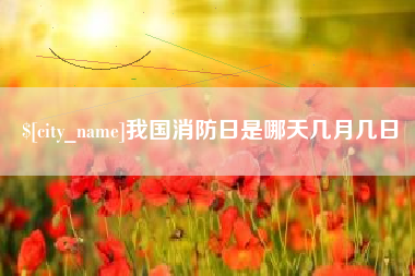 张家界我国消防日是哪天几月几日