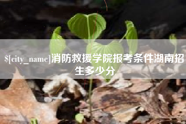 张家界消防救援学院报考条件湖南招生多少分