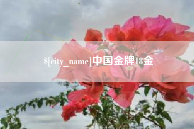 张家界中国金牌18金