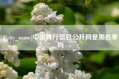 张家界中国执行信息公开网是黑名单吗